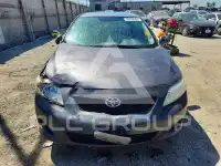 2009 Toyota COROLLA photo
