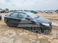 2009 Toyota COROLLA photo