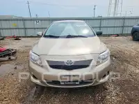 2009 Toyota COROLLA photo