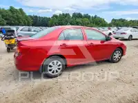 2009 Toyota COROLLA photo