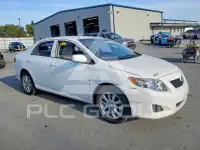 2009 Toyota COROLLA фото