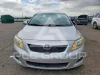 2009 Toyota COROLLA фото