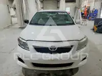 2009 Toyota COROLLA фото