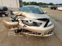 2009 Toyota COROLLA photo