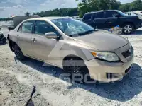 2009 Toyota COROLLA photo