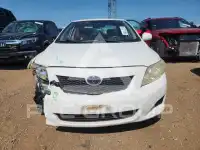 2009 Toyota COROLLA photo