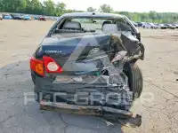 2009 Toyota COROLLA photo