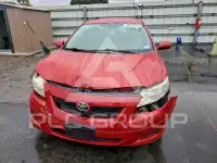 2009 Toyota COROLLA фото