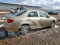2009 Toyota COROLLA photo