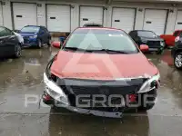 2009 Toyota COROLLA photo