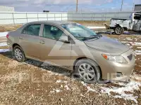 2009 Toyota COROLLA photo
