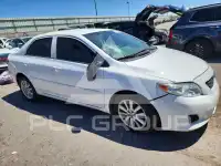 2009 Toyota COROLLA photo