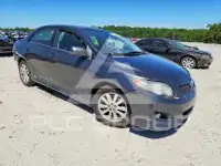 2009 Toyota COROLLA фото