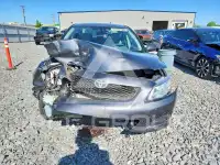 2009 Toyota COROLLA photo