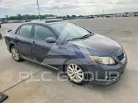 2009 Toyota COROLLA фото