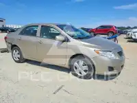 2009 Toyota COROLLA фото