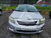 2009 Toyota COROLLA фото