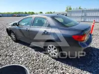 2009 Toyota COROLLA photo