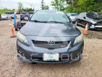 2009 Toyota COROLLA photo