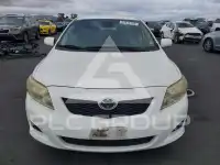 2009 Toyota COROLLA фото