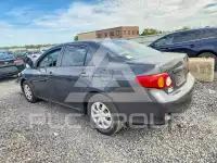 2009 Toyota COROLLA photo