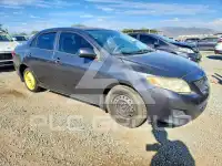 2009 Toyota COROLLA photo