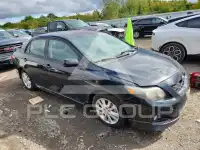 2009 Toyota COROLLA photo