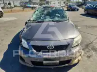 2009 Toyota COROLLA photo
