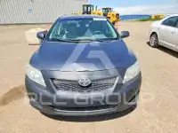 2009 Toyota COROLLA photo