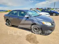 2009 Toyota COROLLA photo