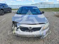 2009 Toyota COROLLA photo