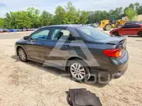 2009 Toyota COROLLA photo