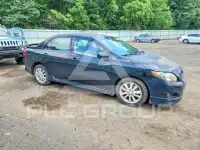 2009 Toyota COROLLA фото