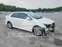 2009 Toyota COROLLA photo
