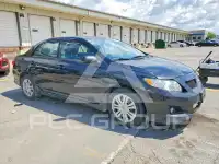 2009 Toyota COROLLA photo