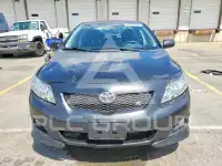 2009 Toyota COROLLA photo