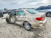 2009 Toyota COROLLA photo