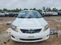 2009 Toyota COROLLA фото