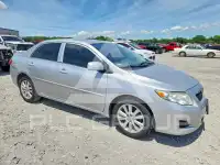 2009 Toyota COROLLA фото