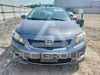 2009 Toyota COROLLA фото