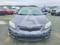 2009 Toyota COROLLA фото