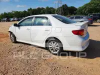 2009 Toyota COROLLA photo
