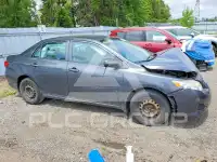 2009 Toyota COROLLA photo