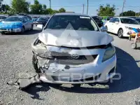 2009 Toyota COROLLA photo