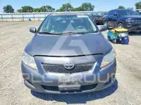 2009 Toyota COROLLA фото