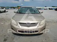 2009 Toyota COROLLA фото