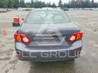 2009 Toyota COROLLA photo