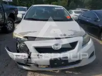 2009 Toyota COROLLA photo