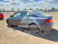 2009 Toyota COROLLA photo
