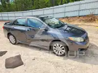 2009 Toyota COROLLA photo